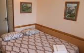 Туры в отель V tsentre Mini-Hotel Туры в отель V tsentre Mini-Hotel