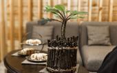 Туры в отель Kupecheskij Dvor Hostel Туры в отель Kupecheskij Dvor Hostel