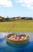 Туры в отель D'Wina Villa Seminyak Туры в отель D'Wina Villa Seminyak