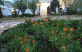 Туры в отель Prichal Hotel Туры в отель Prichal Hotel