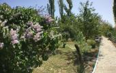 Туры в отель Prichal Hotel Туры в отель Prichal Hotel