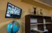 Туры в отель Navigator Hotel Туры в отель Navigator Hotel