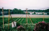 Туры в отель Vilajoki Agro Guest House Туры в отель Vilajoki Agro Guest House