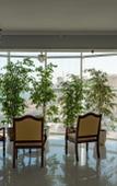 Туры в отель Lunny Bereg Guest House Туры в отель Lunny Bereg Guest House