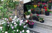 Туры в отель Irise Hotel Туры в отель Irise Hotel
