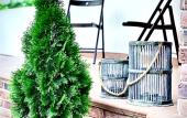 Туры в отель Mindal Guest House Туры в отель Mindal Guest House
