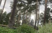Туры в отель Podsnezhnik Mini-Hotel Туры в отель Podsnezhnik Mini-Hotel
