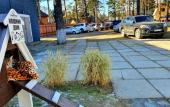 Туры в отель Podsnezhnik Mini-Hotel Туры в отель Podsnezhnik Mini-Hotel