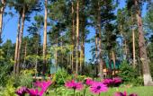 Туры в отель Podsnezhnik Mini-Hotel Туры в отель Podsnezhnik Mini-Hotel
