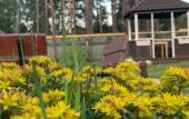 Туры в отель Podsnezhnik Mini-Hotel Туры в отель Podsnezhnik Mini-Hotel