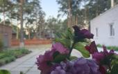 Туры в отель Podsnezhnik Mini-Hotel Туры в отель Podsnezhnik Mini-Hotel