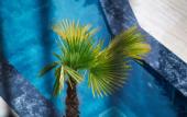 Туры в отель Avlu Alacati Butik Otel Туры в отель Avlu Alacati Butik Otel