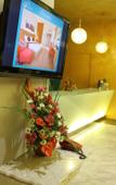 Туры в отель Tychi Hotel Туры в отель Tychi Hotel