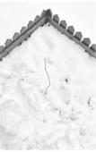 Туры в отель CSDY Guesthouse Туры в отель CSDY Guesthouse