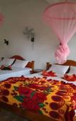 Туры в отель Glen Rock Ella Туры в отель Glen Rock Ella