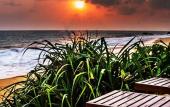 Туры в отель Randiya Beach Villa Туры в отель Randiya Beach Villa