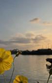 Туры в отель Roxana River Villa Туры в отель Roxana River Villa