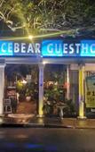 Туры в отель The Icebear Guesthouse Туры в отель The Icebear Guesthouse