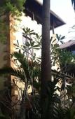 Туры в отель Ever Dreamed of staying in a 3 Bedroom Castle SDV044B - By Samui Dream Villas Туры в отель Ever Dreamed of staying in a 3 Bedroom Castle SDV044B - By Samui Dream Villas
