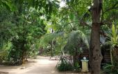 Туры в отель Star Hotel Arugambay Туры в отель Star Hotel Arugambay