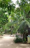 Туры в отель Star Hotel Arugambay Туры в отель Star Hotel Arugambay