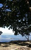 Туры в отель Koh Chang Privilege Туры в отель Koh Chang Privilege
