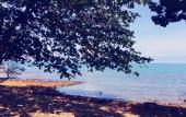 Туры в отель Koh Chang Privilege Туры в отель Koh Chang Privilege