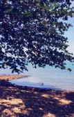 Туры в отель Koh Chang Privilege Туры в отель Koh Chang Privilege