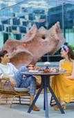 Туры в отель Hyatt Delhi Residences Туры в отель Hyatt Delhi Residences