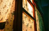 Туры в отель Na Razvilke Hostel Туры в отель Na Razvilke Hostel
