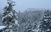 Туры в отель Wood Berg Recreation camp Туры в отель Wood Berg Recreation camp