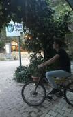 Туры в отель Olympos Mercan Bungalow Туры в отель Olympos Mercan Bungalow