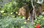 Туры в отель Olympos Mercan Bungalow Туры в отель Olympos Mercan Bungalow