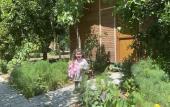 Туры в отель Olympos Mercan Bungalow Туры в отель Olympos Mercan Bungalow