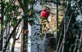 Туры в отель Salute Hotel Туры в отель Salute Hotel