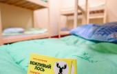Туры в отель Vezhlivyi Los Na Dmitrovskoi Hostel Туры в отель Vezhlivyi Los Na Dmitrovskoi Hostel