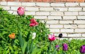 Туры в отель Vezhlivyi Los Na Dmitrovskoi Hostel Туры в отель Vezhlivyi Los Na Dmitrovskoi Hostel