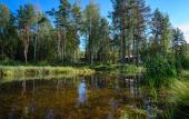 Туры в отель Hutor Vilppula Guest House Туры в отель Hutor Vilppula Guest House