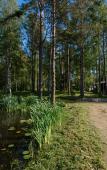 Туры в отель Hutor Vilppula Guest House Туры в отель Hutor Vilppula Guest House