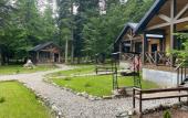 Туры в отель Liberty Village Chalet Туры в отель Liberty Village Chalet
