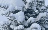 Туры в отель Baikal Best Edelweiss Guest House Туры в отель Baikal Best Edelweiss Guest House
