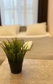 Туры в отель D Loft Hotel Hostel Туры в отель D Loft Hotel Hostel