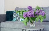 Туры в отель Na Sommera Apartments Туры в отель Na Sommera Apartments