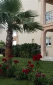 Туры в отель Kusadasi Golf and Spa Resort Туры в отель Kusadasi Golf and Spa Resort