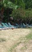 Туры в отель Kusadasi Golf and Spa Resort Туры в отель Kusadasi Golf and Spa Resort