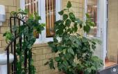 Туры в отель Galbeka Guest House Туры в отель Galbeka Guest House