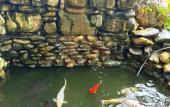 Туры в отель Guest House ART-HOTEL EVA Туры в отель Guest House ART-HOTEL EVA