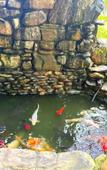 Туры в отель Guest House ART-HOTEL EVA Туры в отель Guest House ART-HOTEL EVA