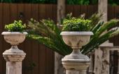 Туры в отель Guest House ART-HOTEL EVA Туры в отель Guest House ART-HOTEL EVA