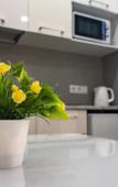 Туры в отель Kapri KHaus-Madrid Park-2 Apartaments Туры в отель Kapri KHaus-Madrid Park-2 Apartaments
